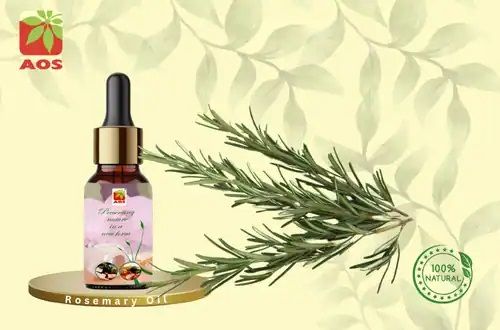 Rosemary Oil