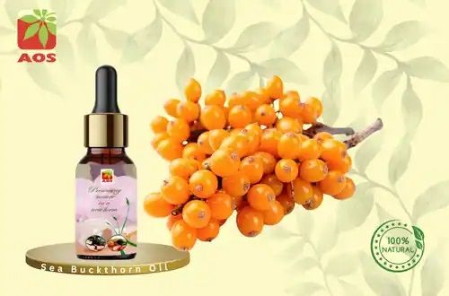 Sea Buckthorn Oil