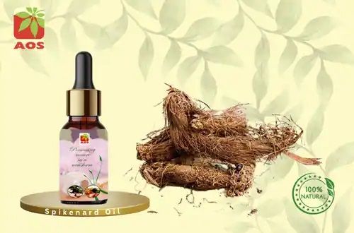 Spikenard Oil