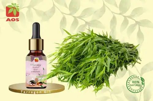Tarragon Oil for Aromatherapy, Culinary, Medicinal