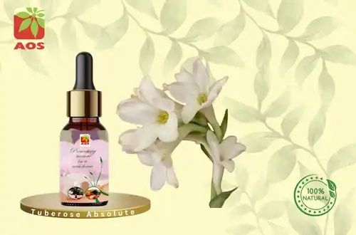 Tuberose Absolute Oil