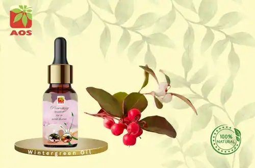 Wintergreen Oil