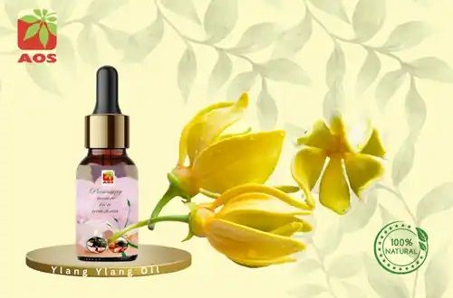 Ylang Ylang Oil