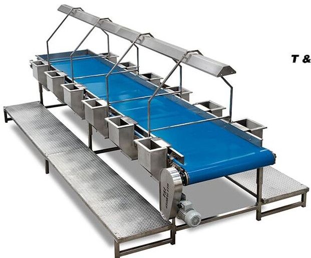 Inspection - Conveyor