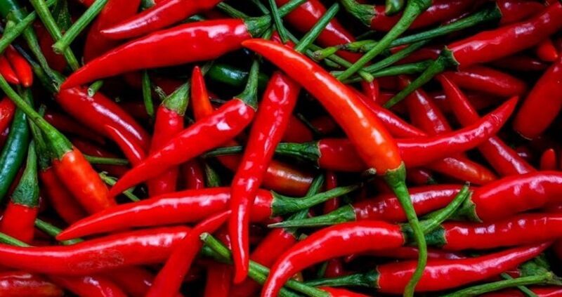 Red Chili
