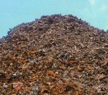 Shredded Scrap