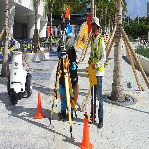 Survey Mapping Service