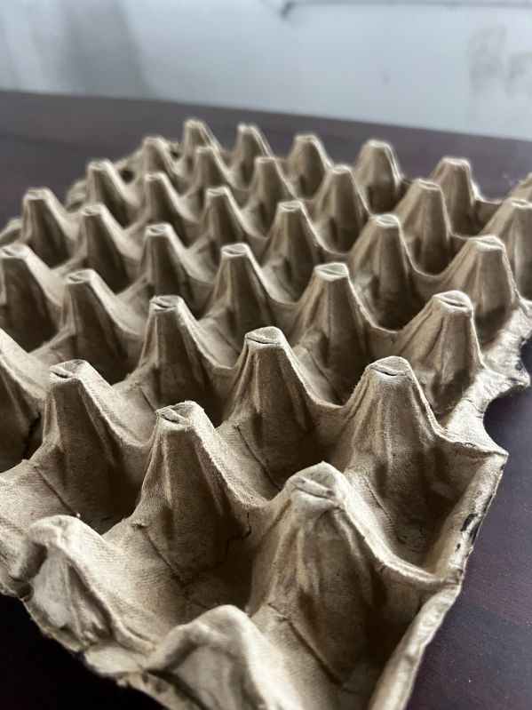 Paper Egg Tray