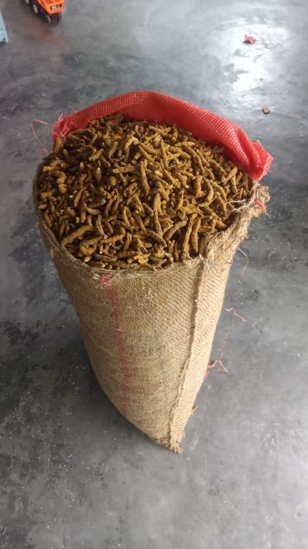 Dried Turmeric Finger