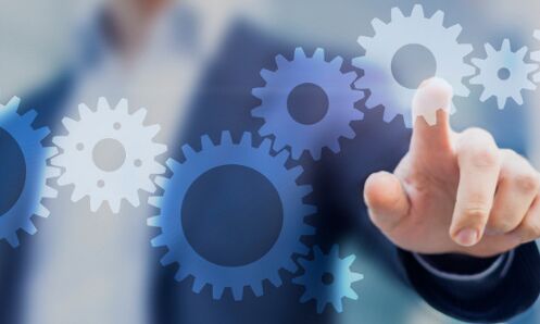 Agribusiness Project Management Services