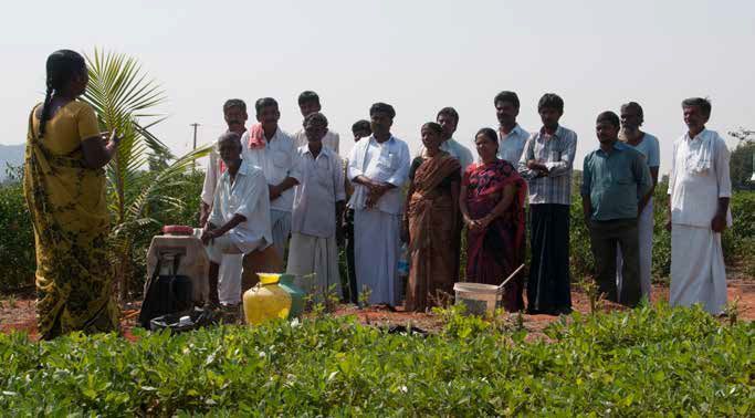 Training and Skill Development Services