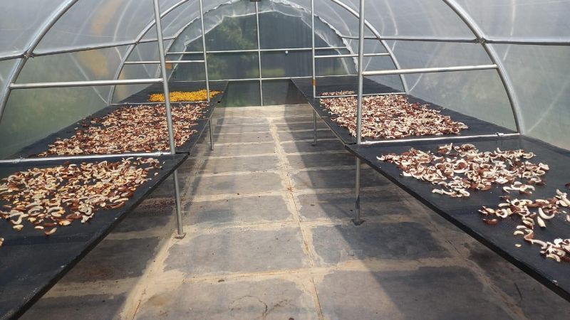 Solar Vegetable Dryer