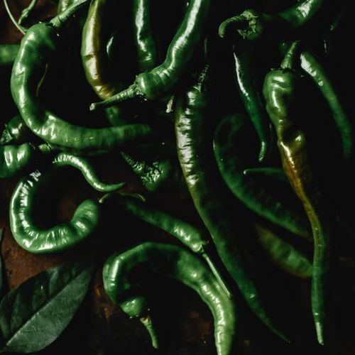 Organic Fresh Green Chilli, Shelf Life : 15 Days For Food, Pickles