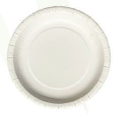 9 Inch Round Disposable Plates