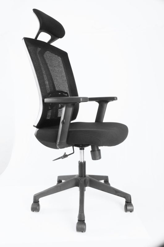 Executive Office Chair