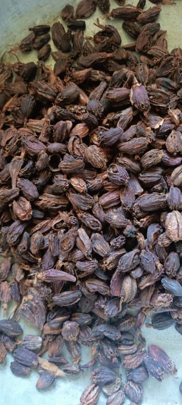 black cardamom