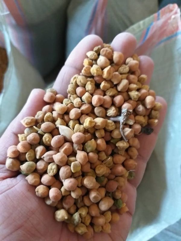 Brown Desi Chickpeas