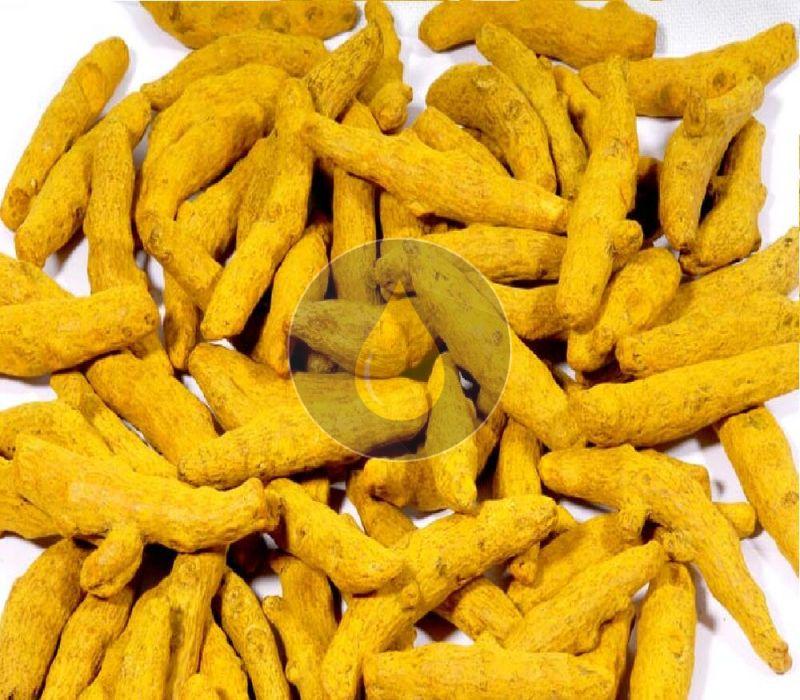 turmeric finger