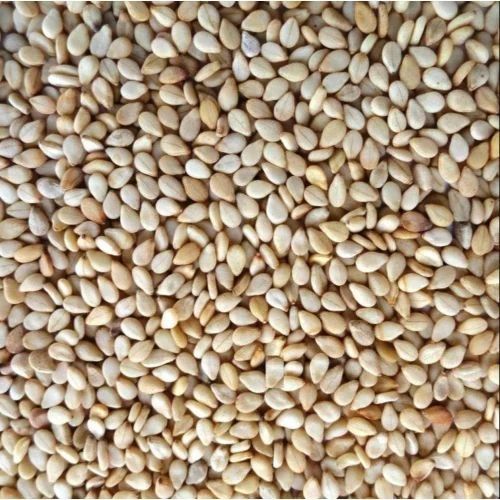 Natural Sesame Seeds