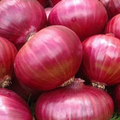 Red Onion, Onion Size : 30mm Net Bag For Cooking