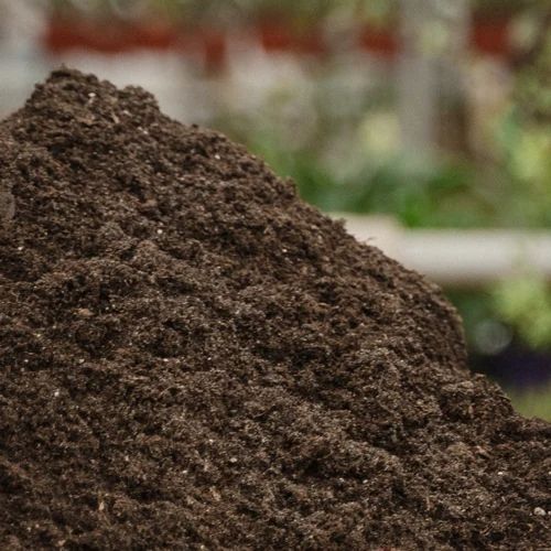 Cow Dung Based Vermicompost, Moisture : 20-25% for Organic Farming