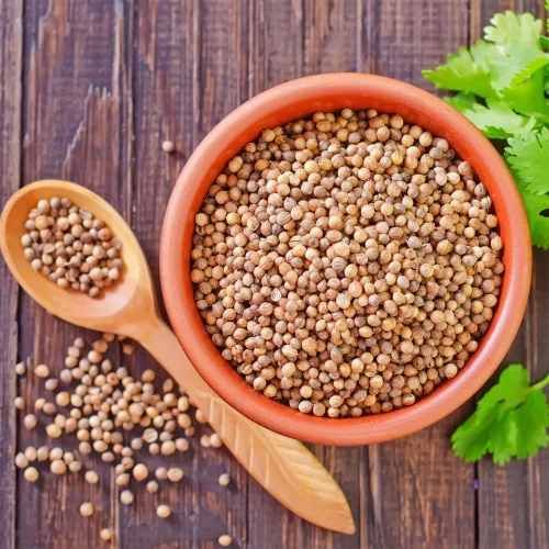 Brown Natural A Grade Whole Coriander Seed For Cooking, Seasoning