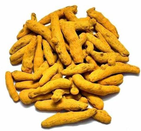 Yellow Turmeric Finger