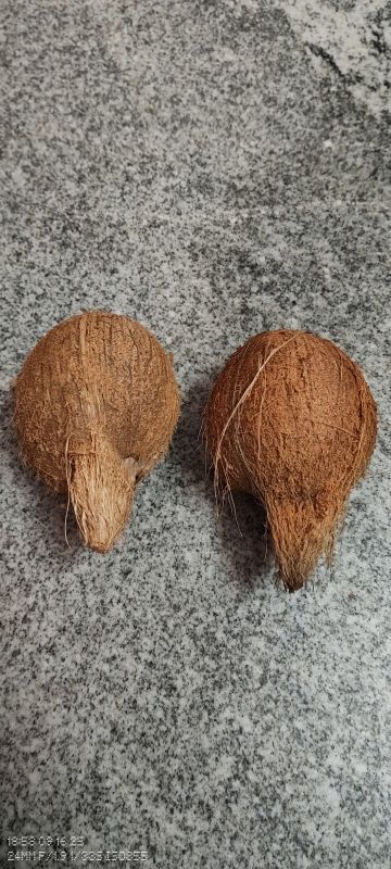 coconut
