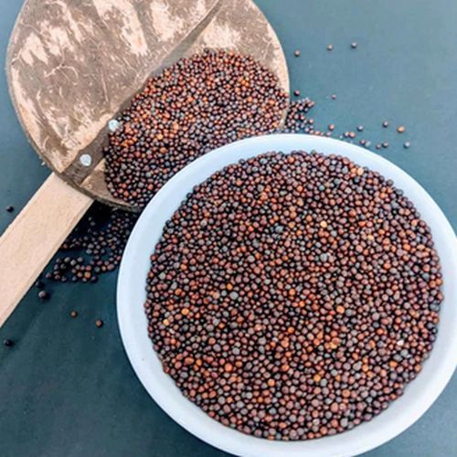 Brown Organic Mustard Seeds Food Grade for Cooking