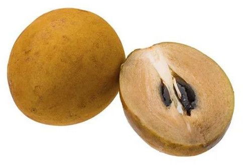 A Grade Fresh Chikoo