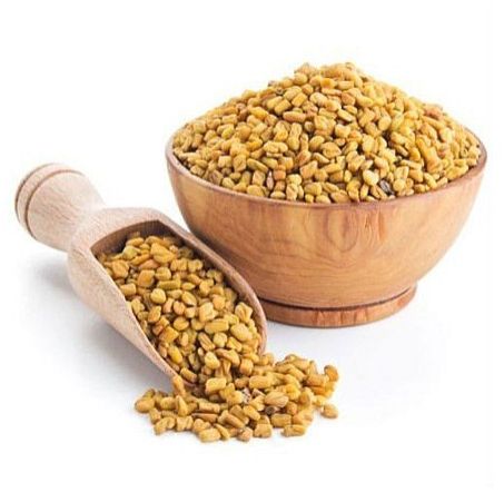 Dried Fenugreek Seeds, Packaging Type : Sealed Bag