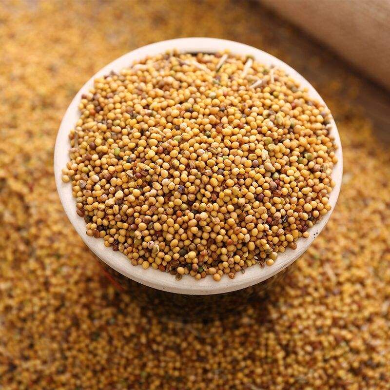 Mustard Seeds