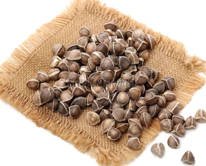 Dried Black Moringa Seed