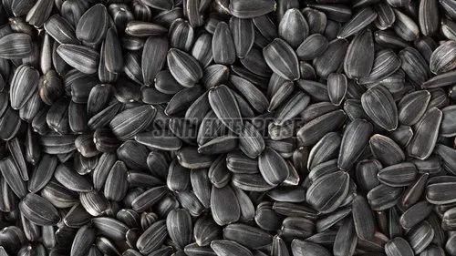 Dried Black Sunflower Seeds