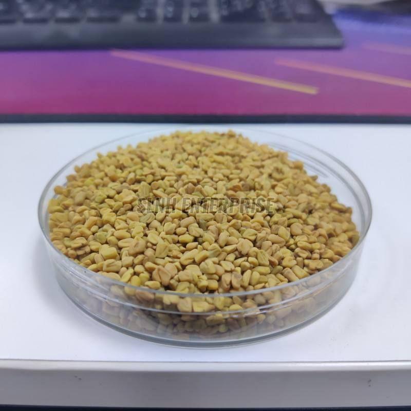 Fenugreek Seed