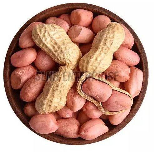 groundnut