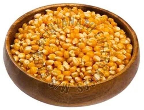 Natural Soft Yellow Maize Seeds 16%, Speciality : High In Protein