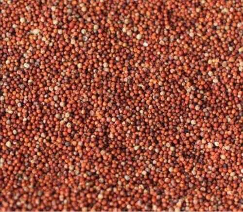 A Grade Finger Millet