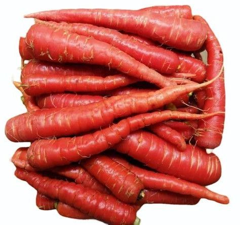 Fresh Red Carrot, Packaging Type : Bag for Cooking, Salads, Snacks