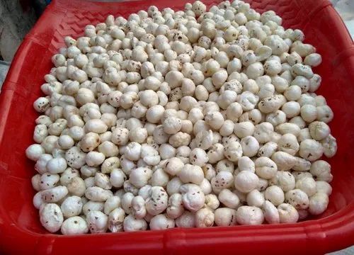 Phool Makhana for Cooking, Human Consumption, Purity : 99.9%