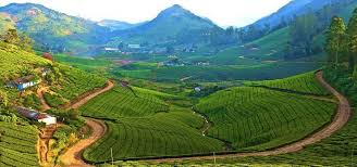 Madurai to Megamalai Tour Package