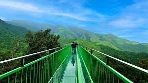 Madurai to Wayanad Domestic Tour Package
