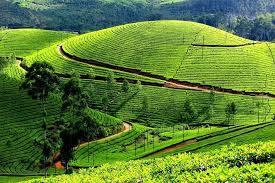 Munnar Tour Package