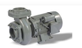 Centrifugal Monoblock Pumps 2880 RPM Single Phase