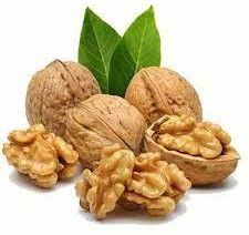 walnut