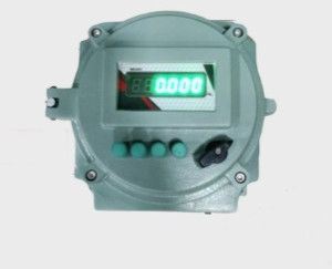 Electronic Flame Proof Indicator