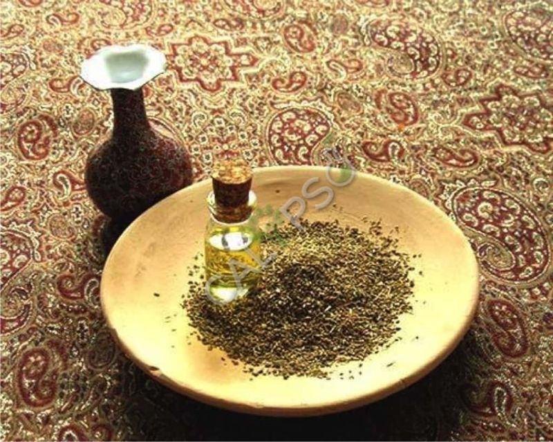 Ajowan Oil