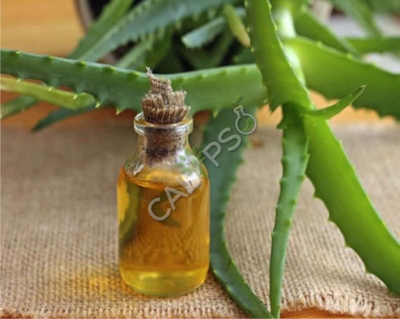 Aloe Vera Oil