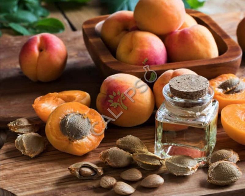 Apricot Kernel Carrier Oil