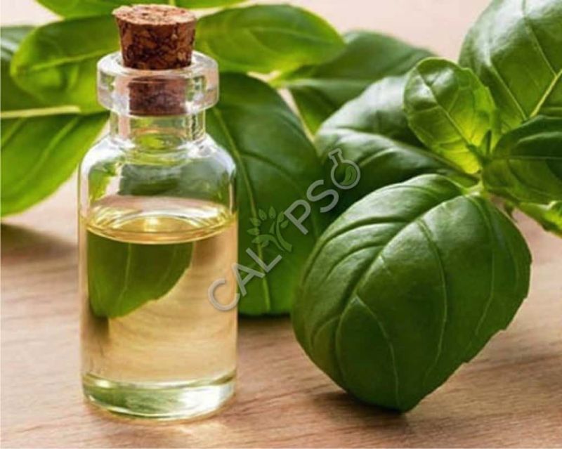 Basil Oil